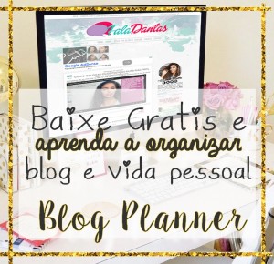 como+organizar+blog+canal