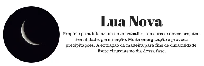 CRESCIMENTO CAPILAR TEM INFLUENCIA DA LUA?